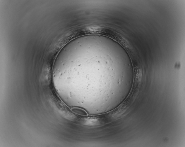 X0000112510651200908311333