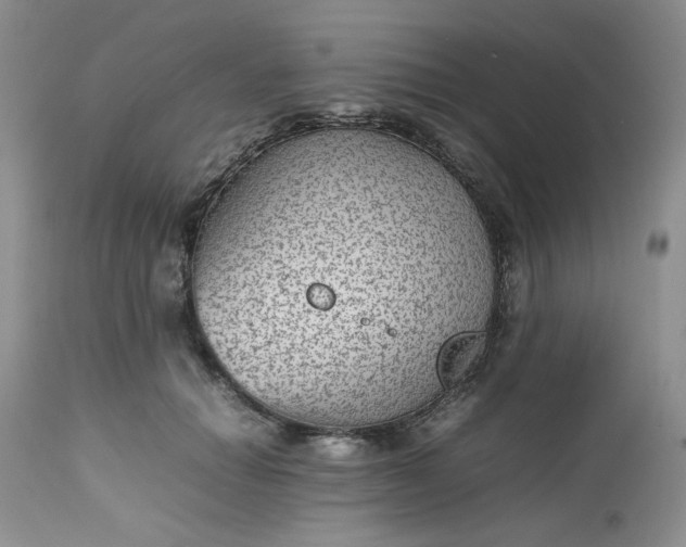 X0000112510654200908311334