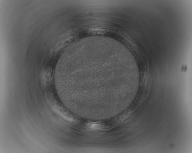 X0000112510655200908311334