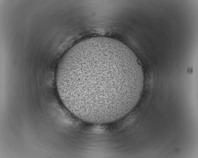 X0000112510656200908311334