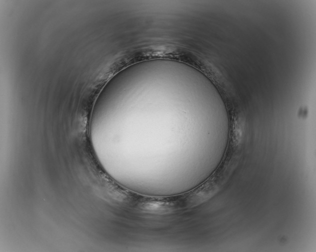 X0000112510657200908311334