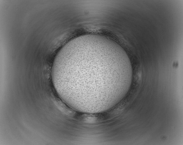 X0000112510658200908311334