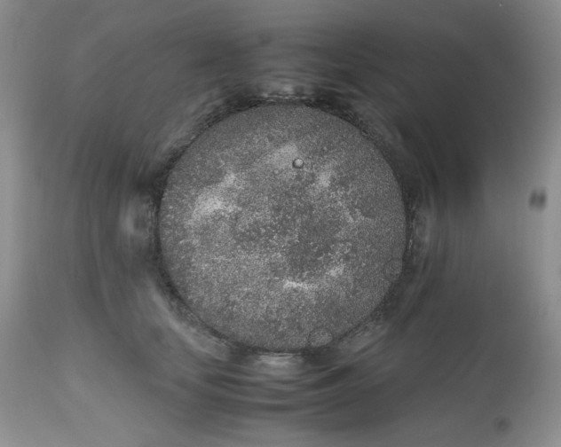 X0000112510659200908311334