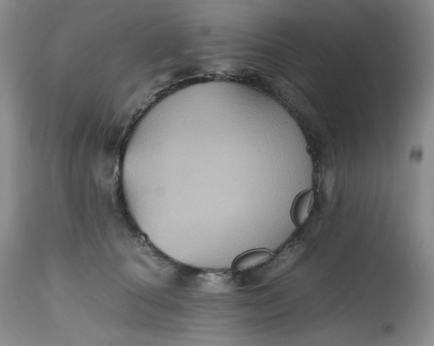 X0000112510660200908311334