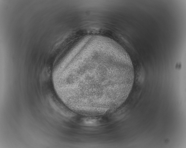 X0000112510661200908311334