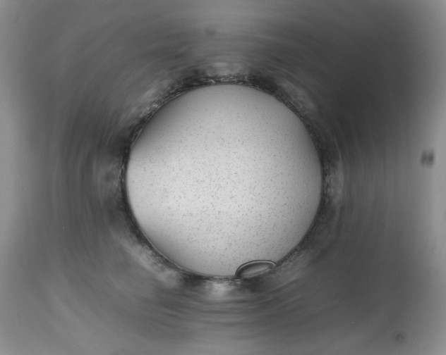 X0000112510662200908311334