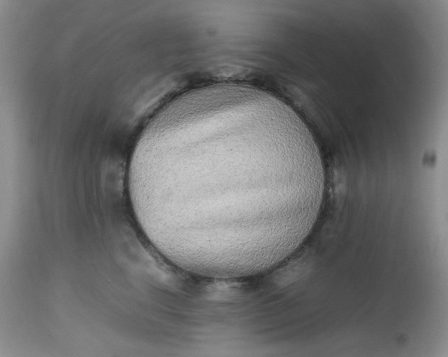 X0000112510664200908311334