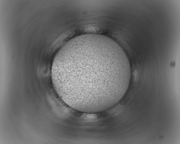 X0000112510665200908311334