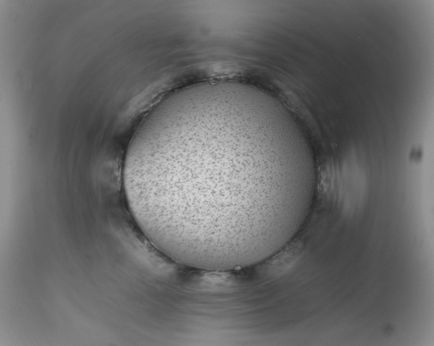 X0000112510666200908311334