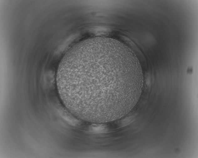 X0000112510667200908311334