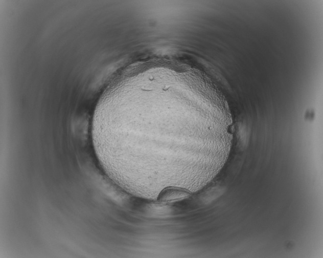 X0000112510668200908311334