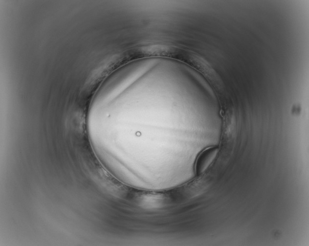 X0000112510669200908311334