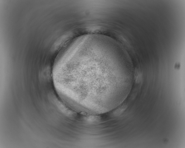 X0000112510670200908311334