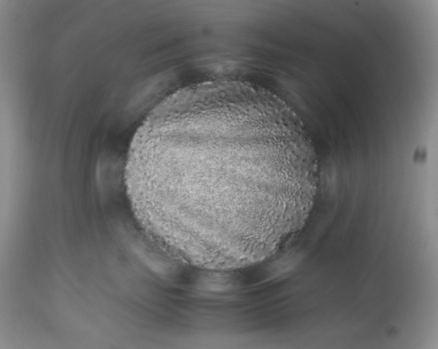 X0000112510671200908311334