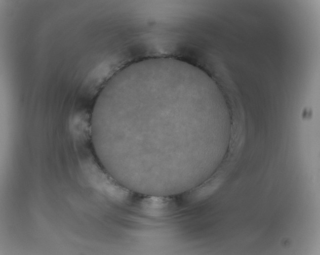 X0000112510672200908311334