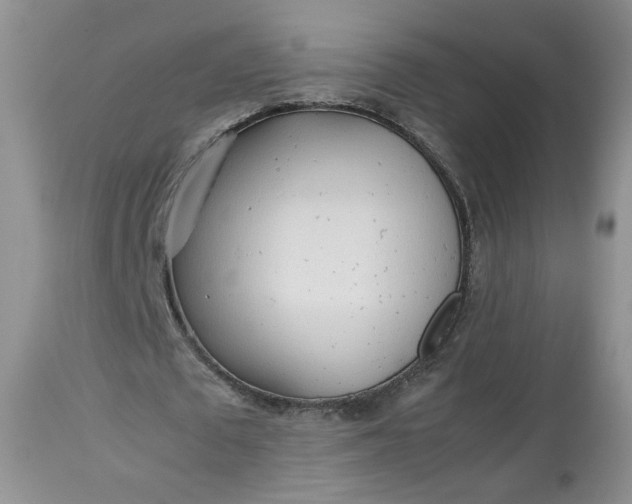 X0000112510673200908311333