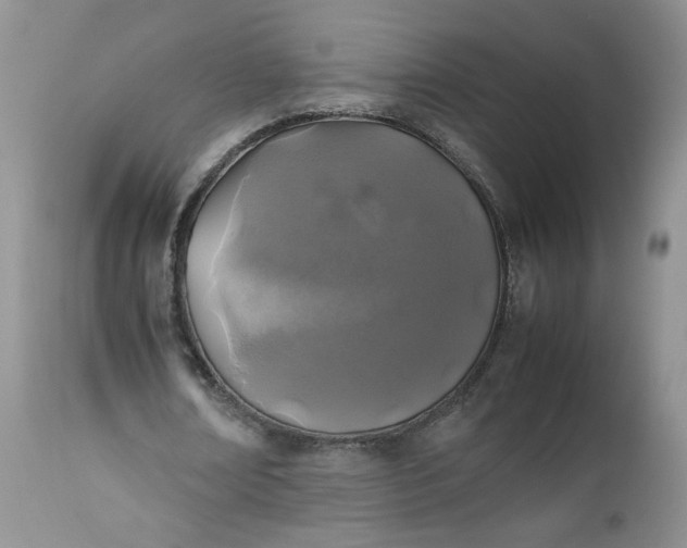 X0000112510674200908311333