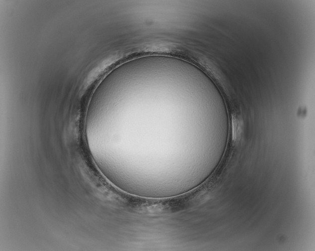 X0000112510675200908311333