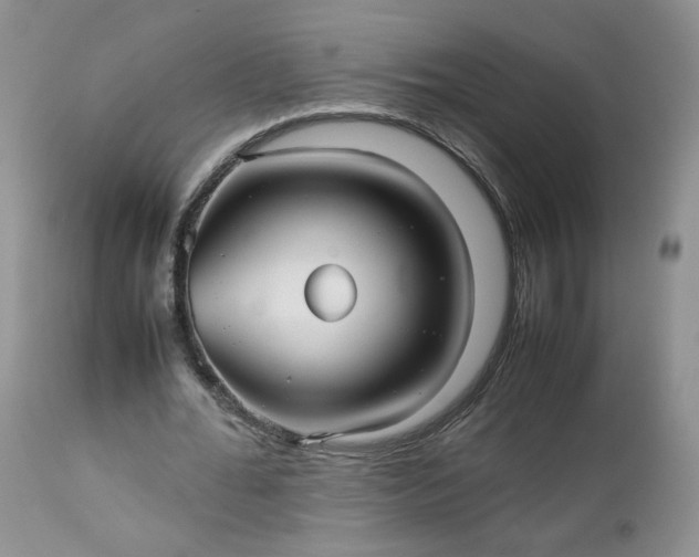 X0000112510676200908311333