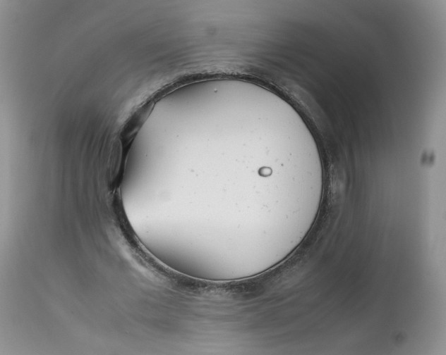 X0000112510677200908311333