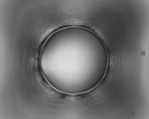 X0000112510679200908311333