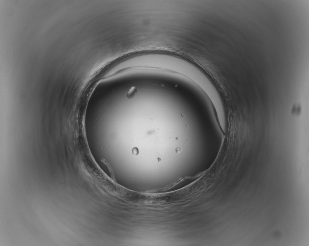 X0000112510680200908311333