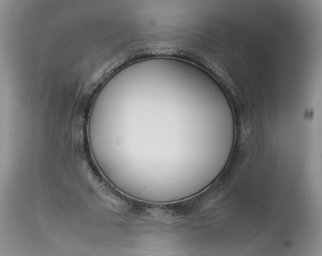 X0000112510681200908311333