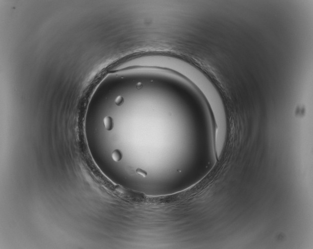 X0000112510684200908311333