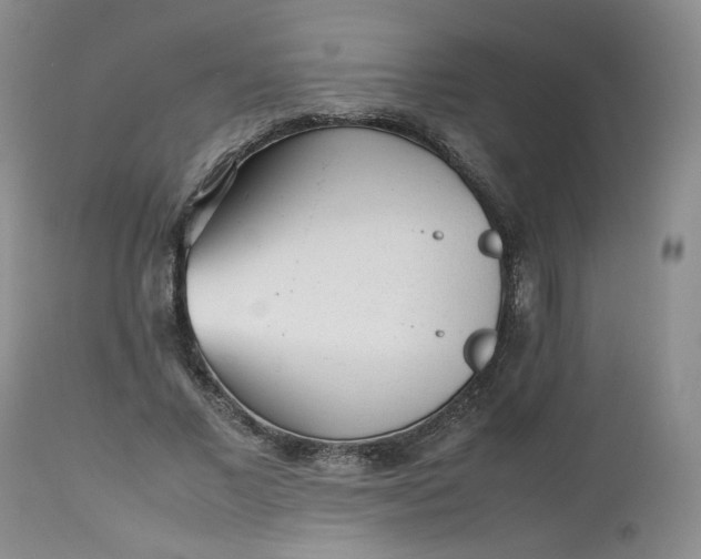 X0000112510685200908311333