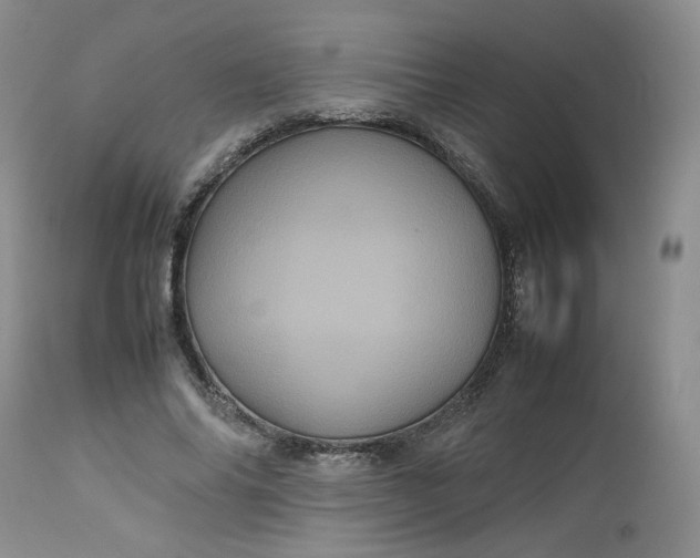 X0000112510686200908311333