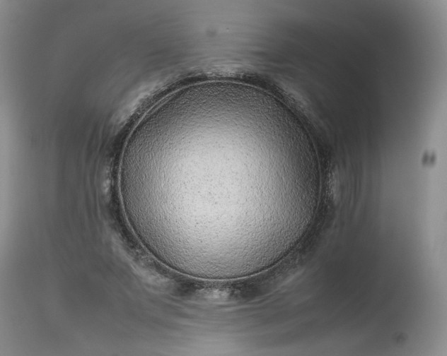 X0000112510687200908311333