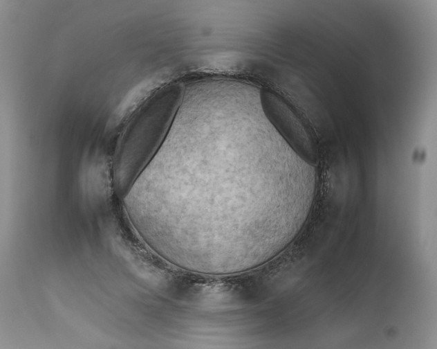 X0000112510688200908311333