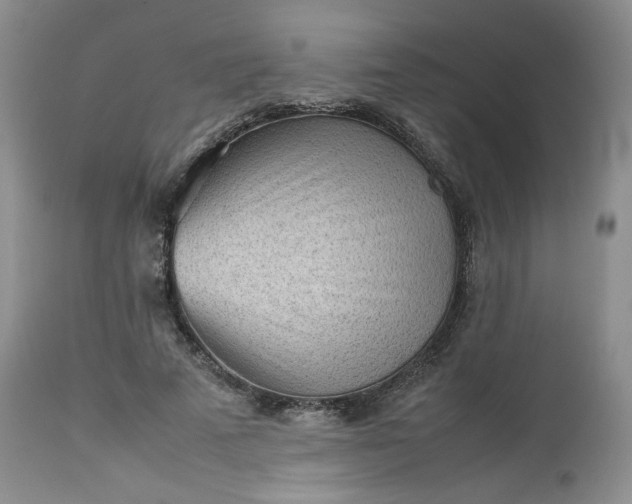 X0000112510689200908311333