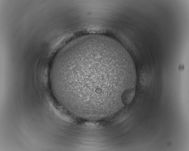 X0000112510690200908311333