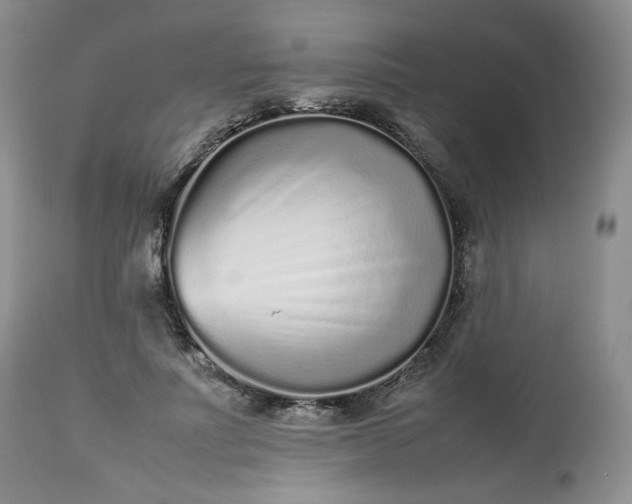 X0000112510691200908311333