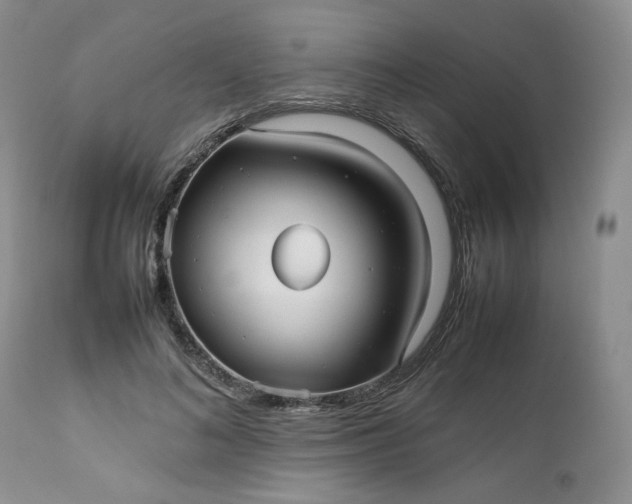 X0000112510692200908311333