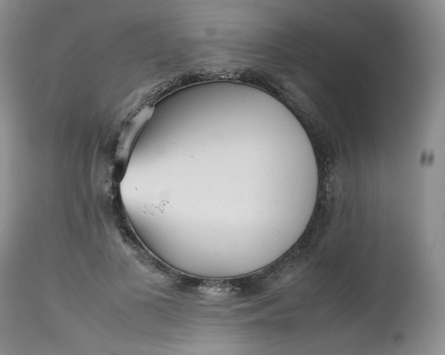 X0000112510693200908311333