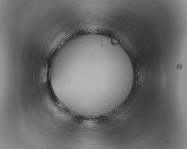 X0000112510694200908311333