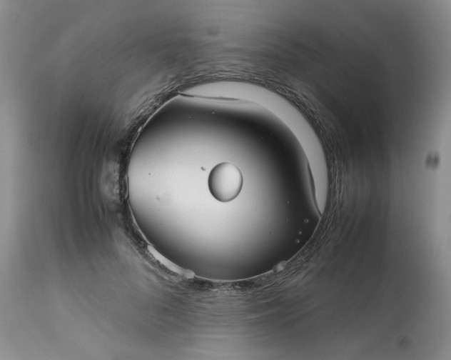 X0000112510696200908311333