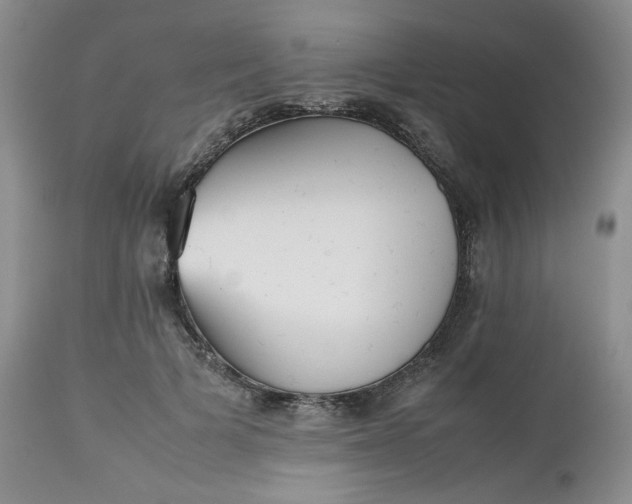 X0000112510697200908311333