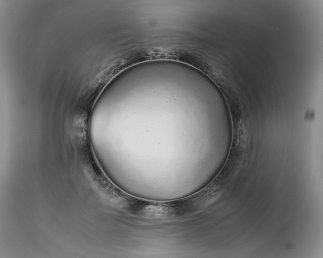 X0000112510699200908311333