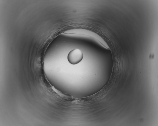 X0000112510700200908311333