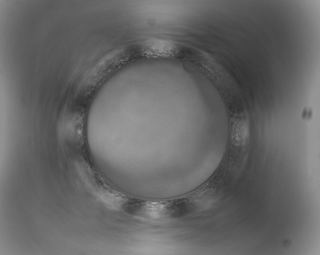 X0000112510701200908311333