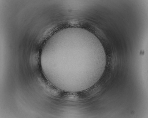 X0000112510702200908311333