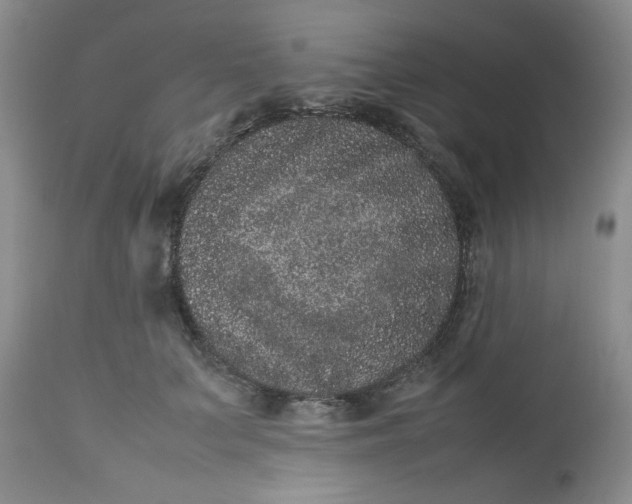 X0000112510703200908311333