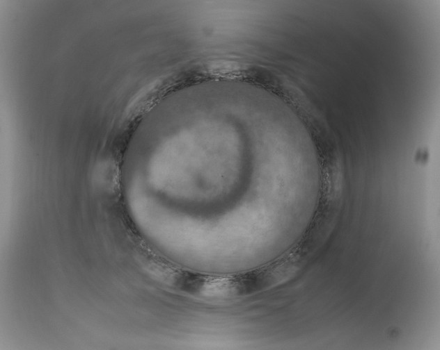 X0000112510705200908311333