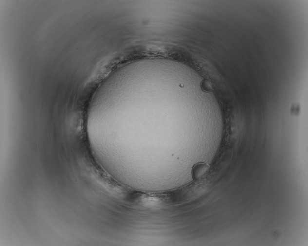 X0000112510706200908311333