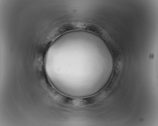 X0000112510707200908311333