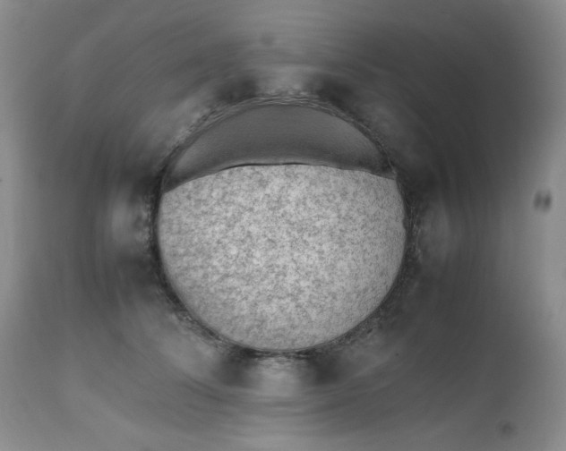 X0000112510708200908311333