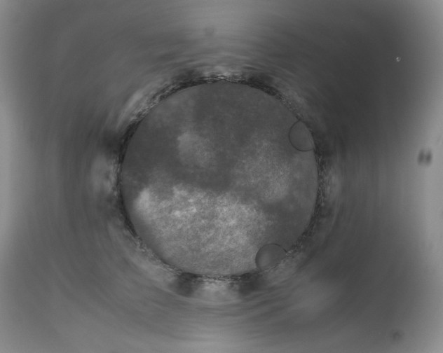 X0000112510709200908311333